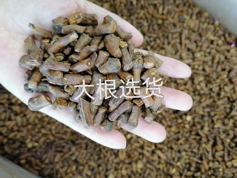 蒲公英根烘焙货熟蒲公英根各种规格中药材批发