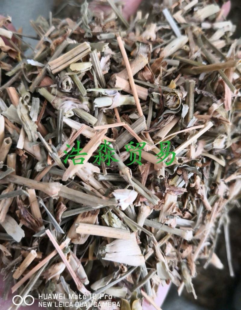 瞿麦干货散装量大从优欢迎选购各种中药材