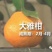 红心柚子苗，三红柚子苗，泰国青柚，柚子苗，各种柚子柑橘苗