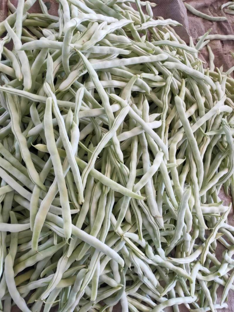 白豆角，白芸豆，豆角