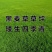 多年生黑麦草种子四季青冬季草坪籽绿化耐寒草四季种易