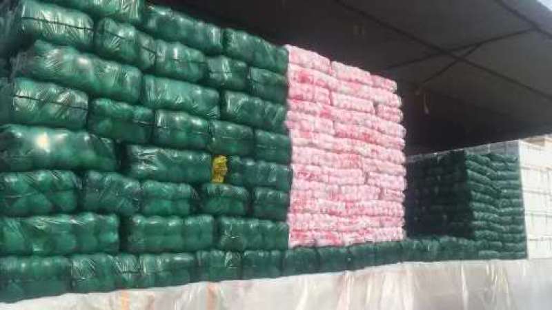 精品兰州货大量有货甘蓝0.5—2kg，欢迎全国各地的老板