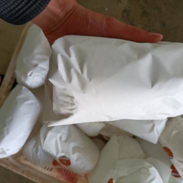 精品兰州货甘蓝实力代办，欢迎全国各地的老板前来。