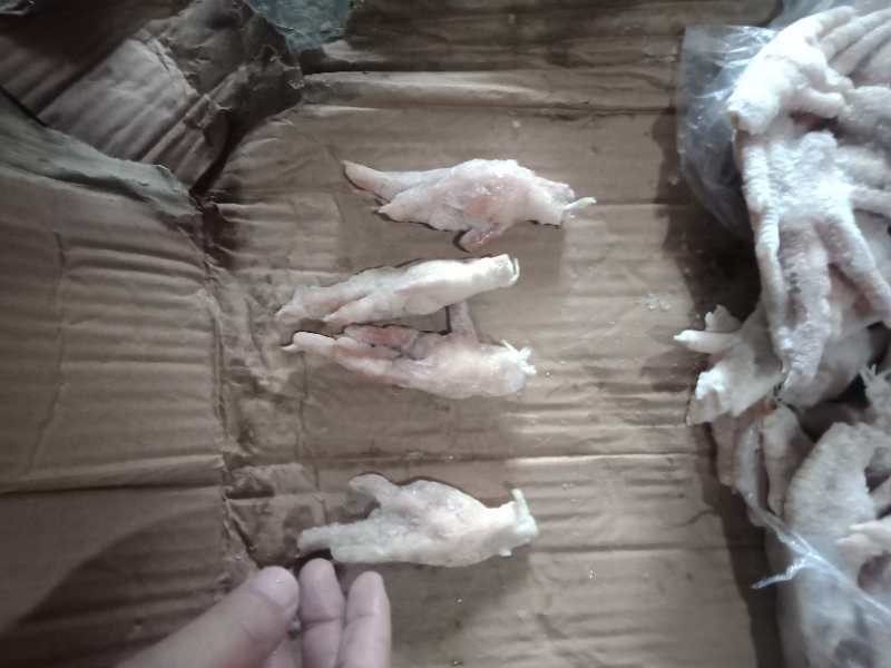 凤爪（国产）30+A级