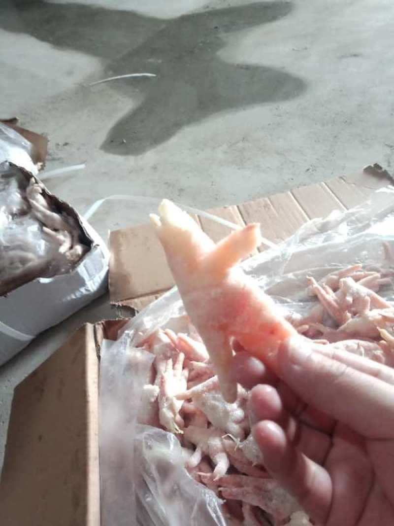 凤爪（国产）30+A级