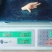 凤爪（国产）30+A级