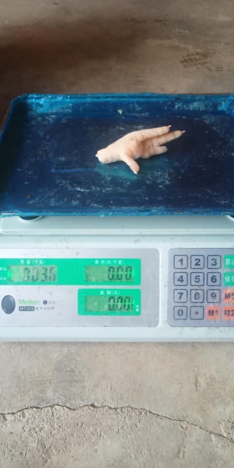 凤爪（国产）30+A级
