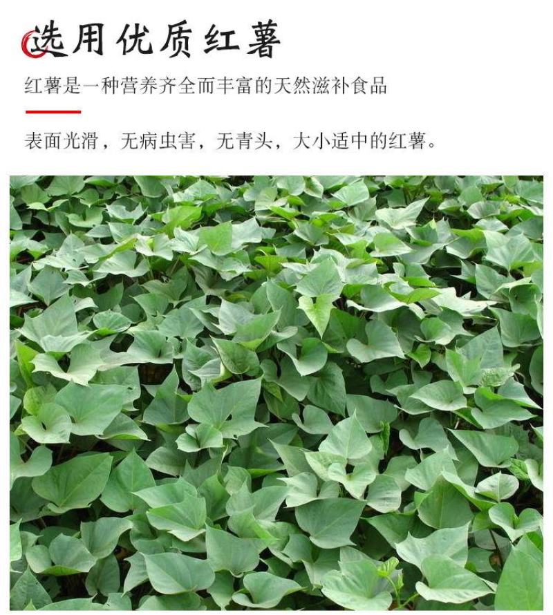 山东特产】农家正宗红薯粉条批发地瓜红苕细粉农家纯手工包邮