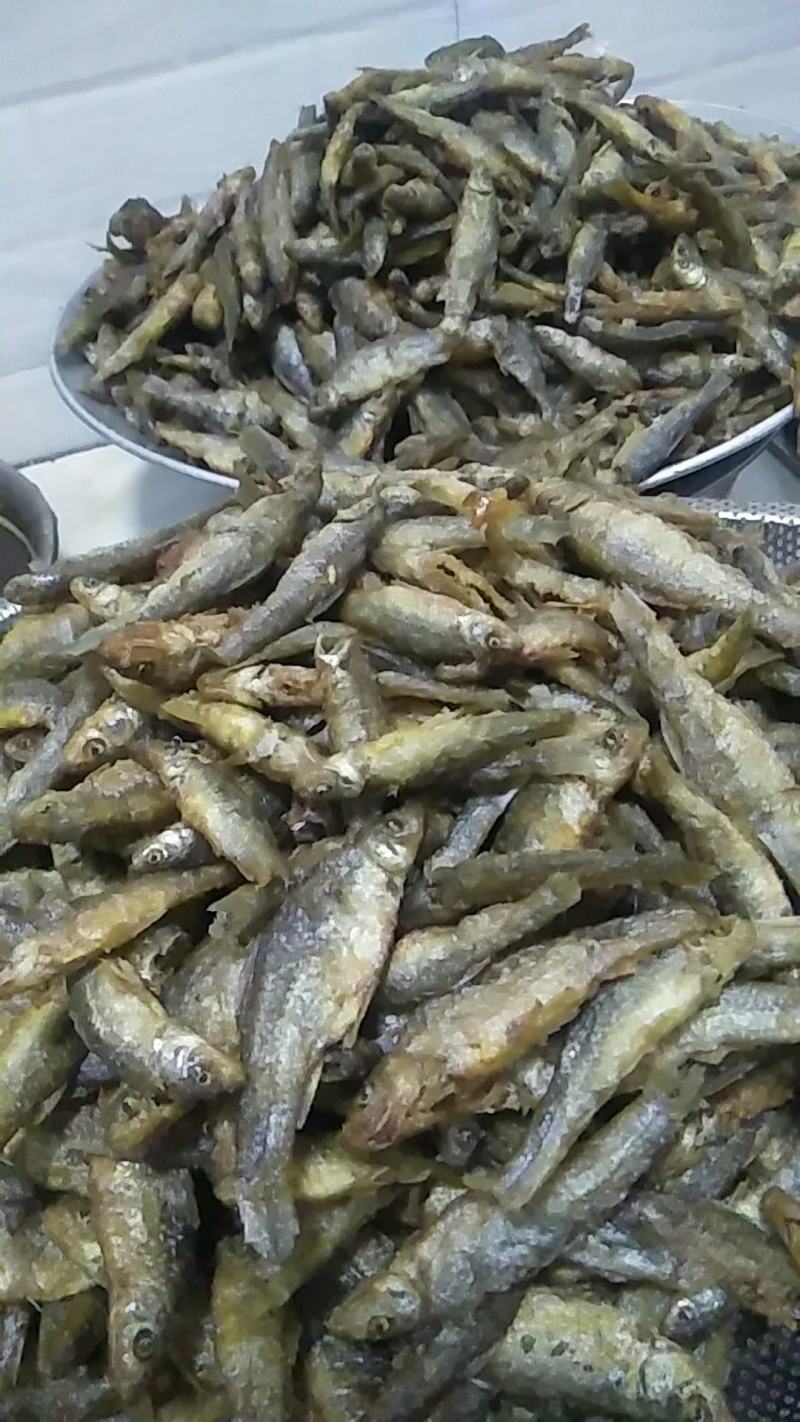 云南大理洱海麦穗鱼，不苦不咸，新鲜油炸麦穗鱼。