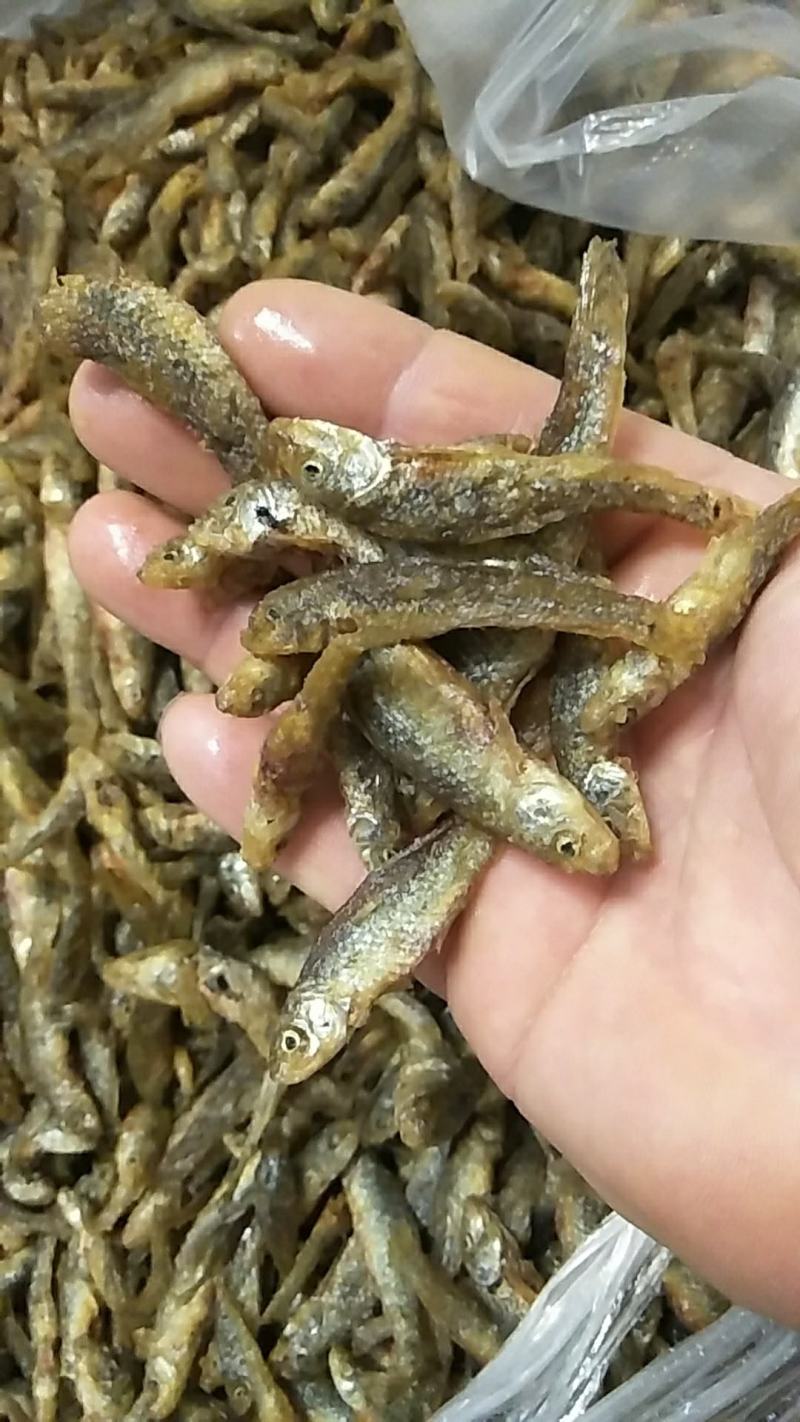 云南大理洱海麦穗鱼，不苦不咸，新鲜油炸麦穗鱼。