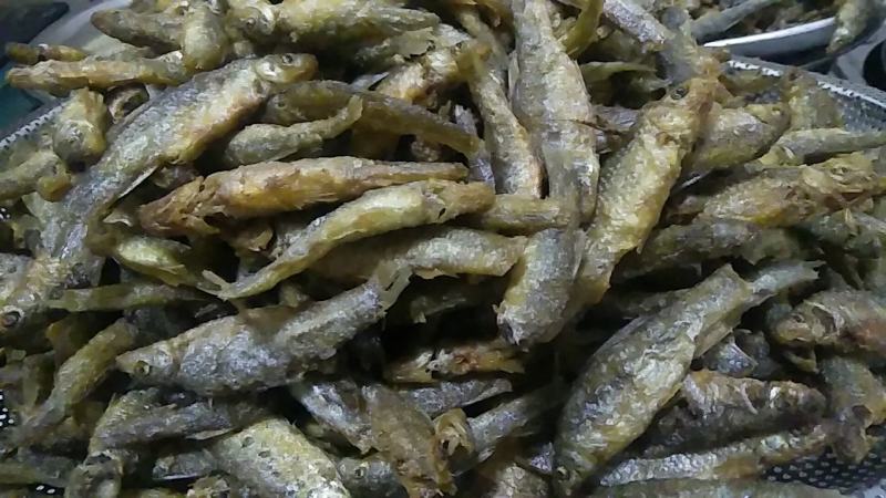 云南大理洱海麦穗鱼，不苦不咸，新鲜油炸麦穗鱼。