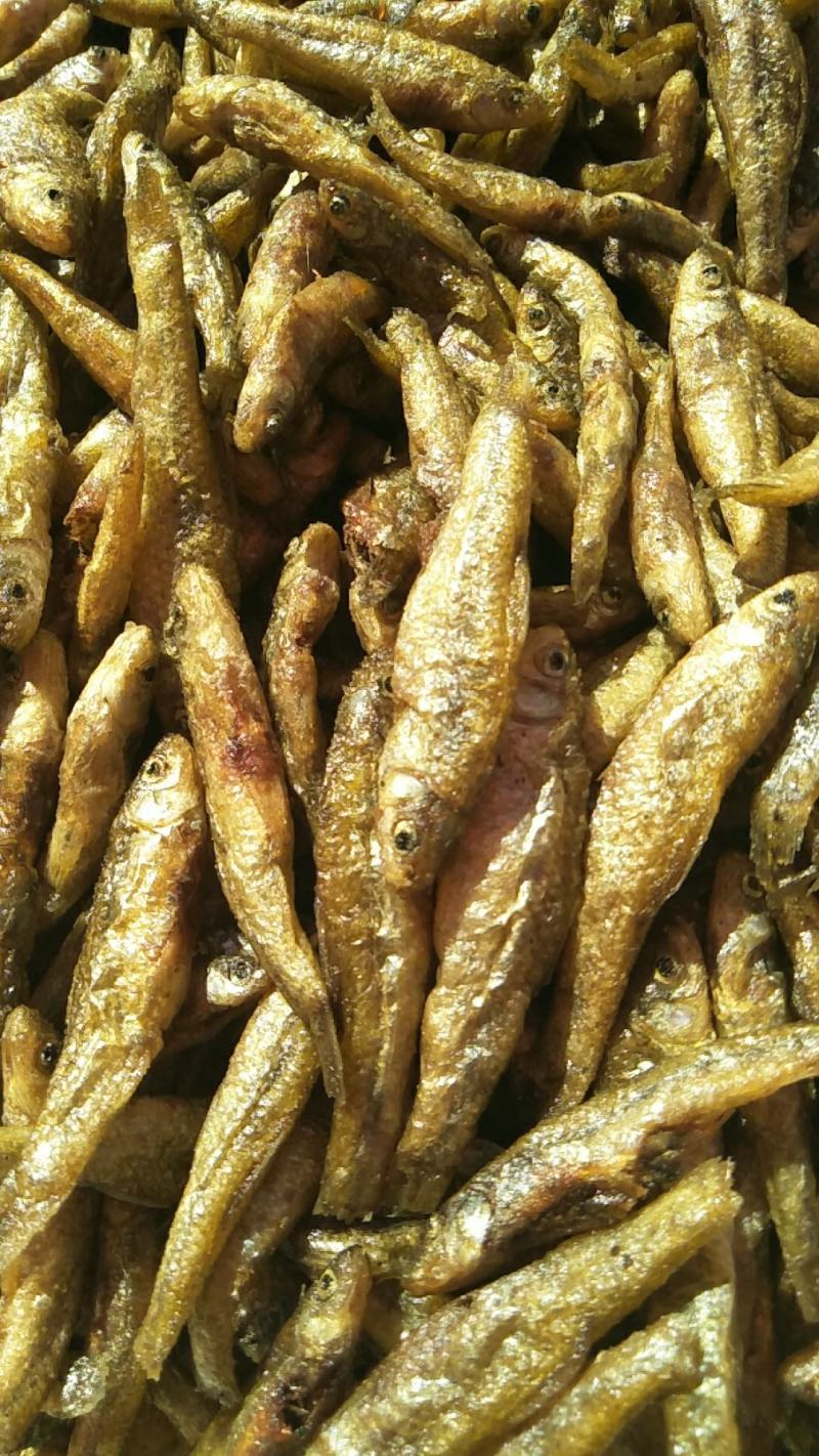 云南大理洱海麦穗鱼，不苦不咸，新鲜油炸麦穗鱼。