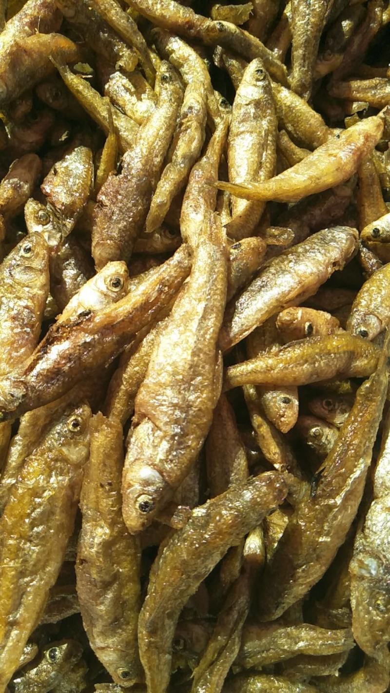 云南大理洱海麦穗鱼，不苦不咸，新鲜油炸麦穗鱼。