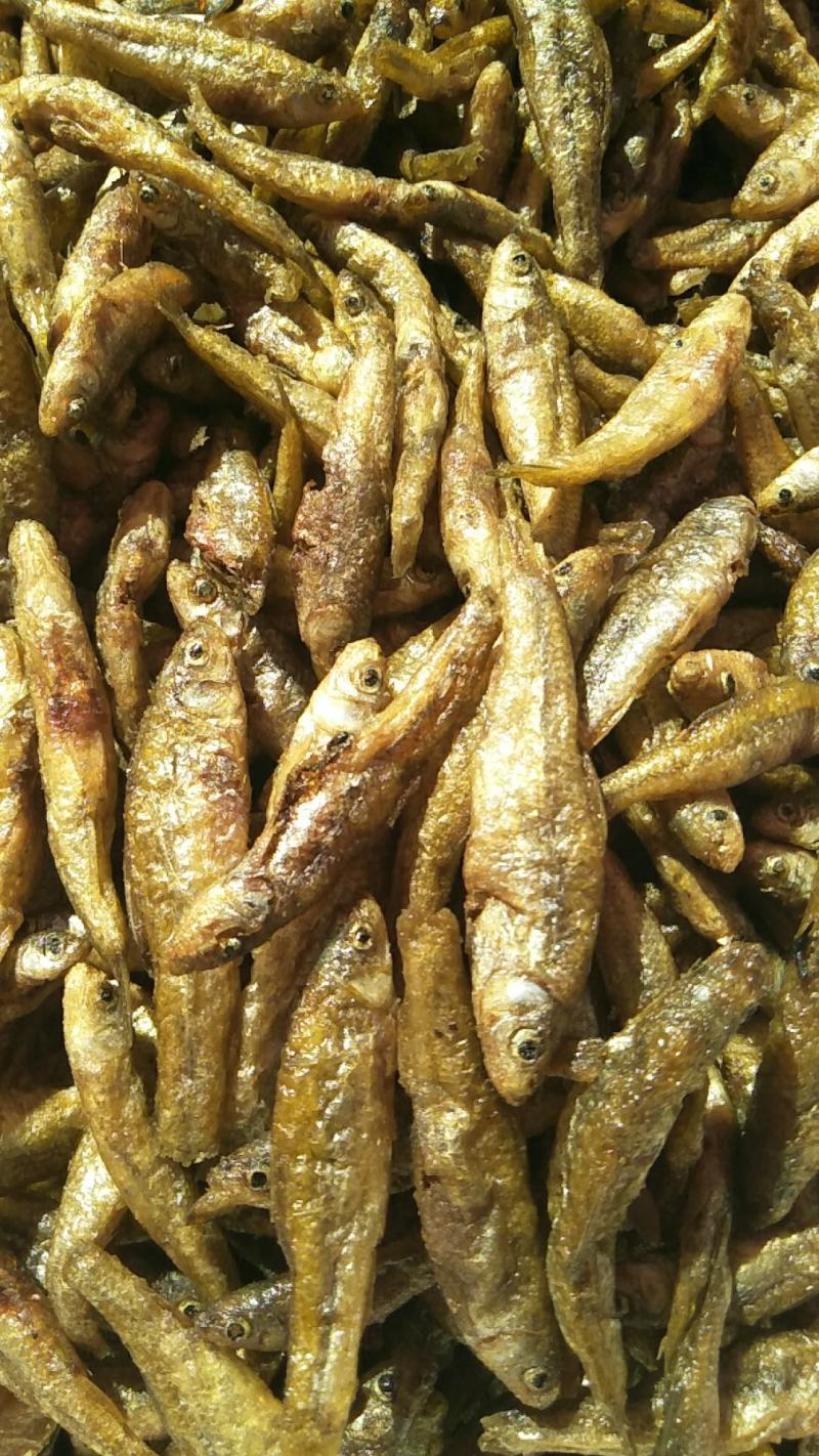 云南大理洱海麦穗鱼，不苦不咸，新鲜油炸麦穗鱼。