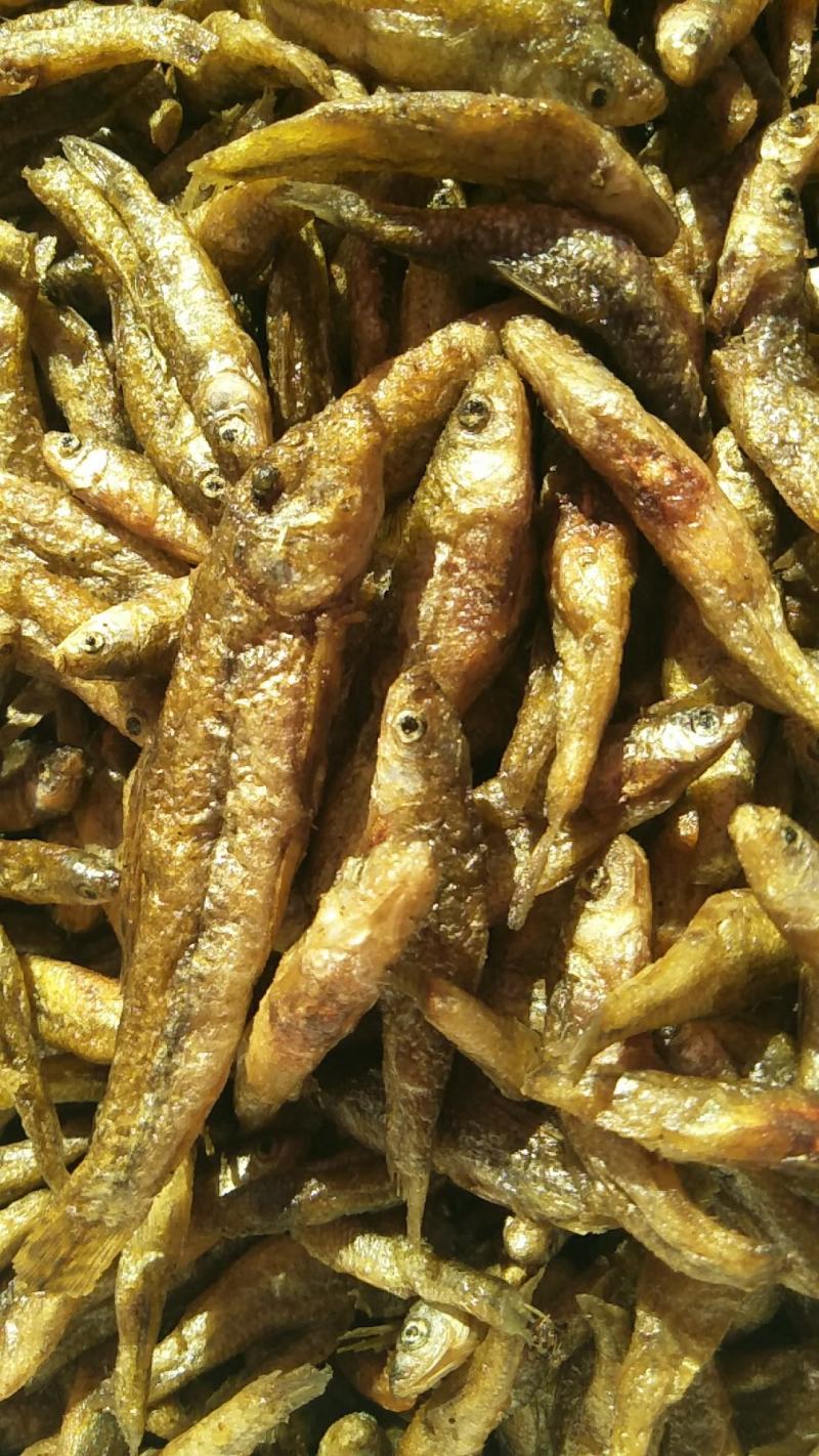 云南大理洱海麦穗鱼，不苦不咸，新鲜油炸麦穗鱼。