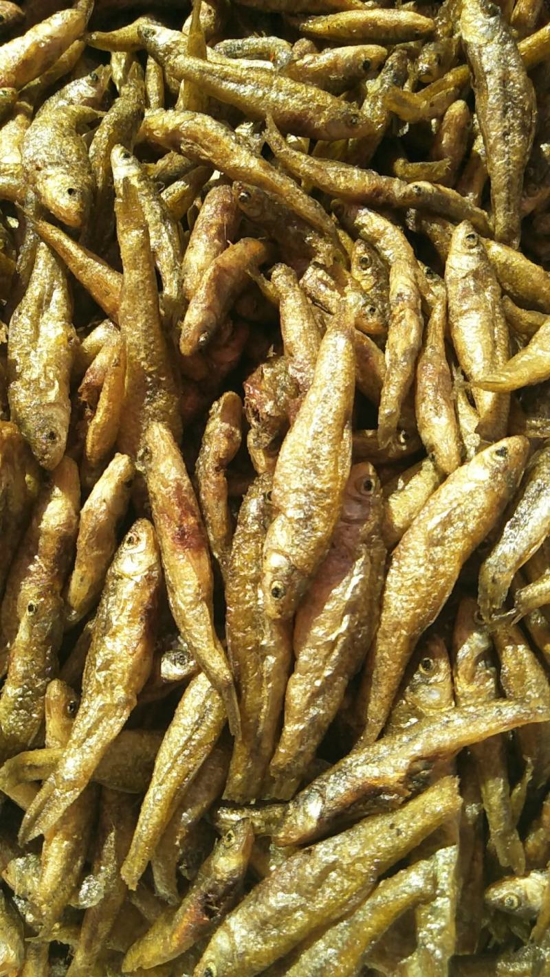 云南大理洱海麦穗鱼，不苦不咸，新鲜油炸麦穗鱼。