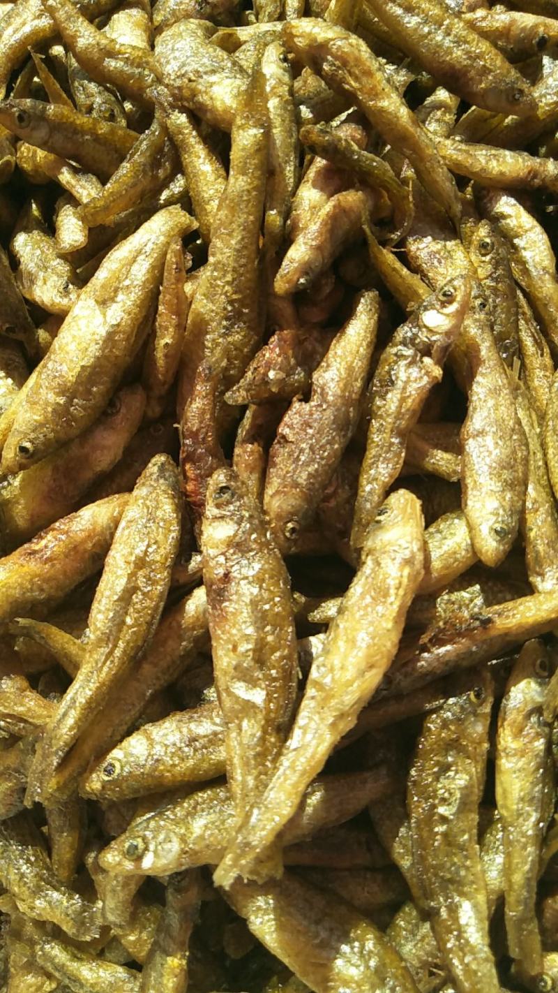云南大理洱海麦穗鱼，不苦不咸，新鲜油炸麦穗鱼。