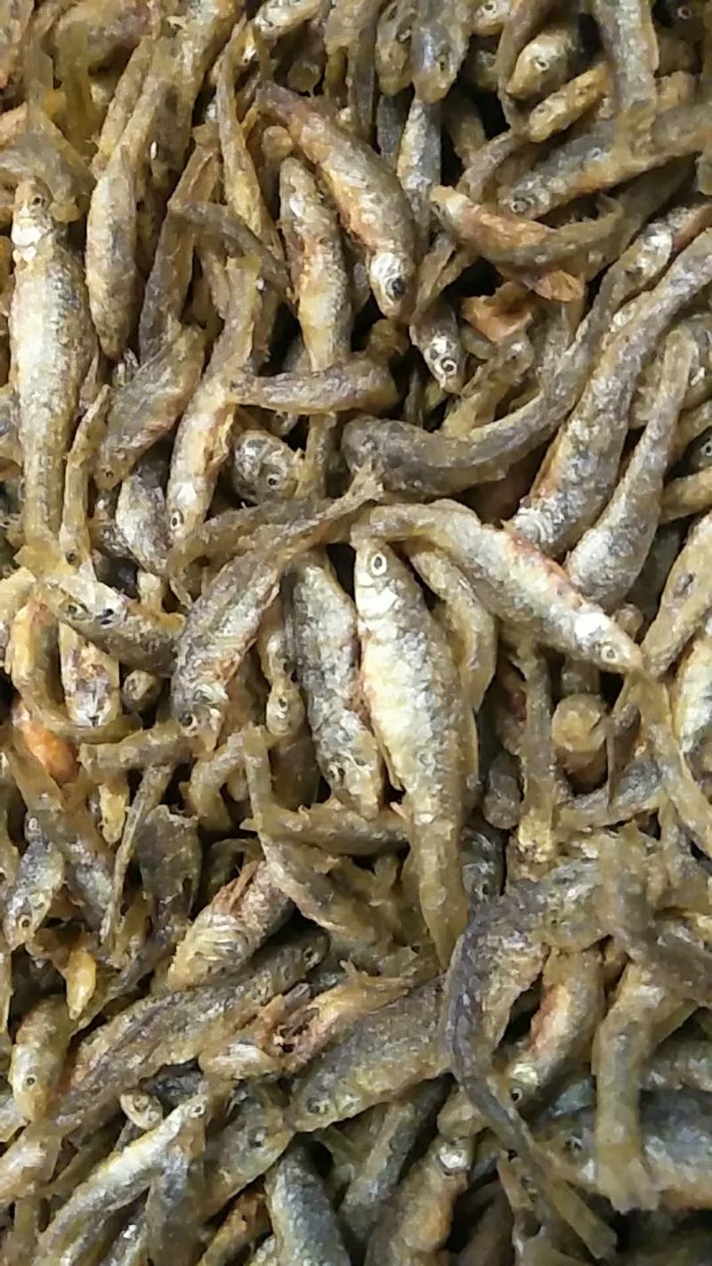 云南大理洱海麦穗鱼，不苦不咸，新鲜油炸麦穗鱼。