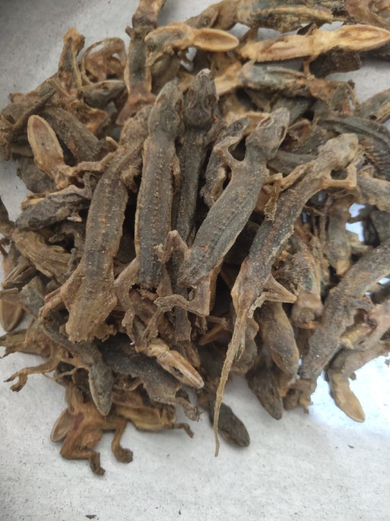 壁虎有名天龙，守宫关书药业专注品质如图所示一手货源