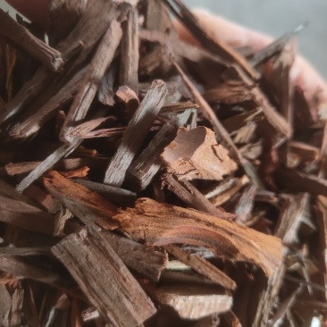 降香药用降香丝新货关书药业批发中药材