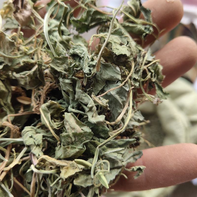 紫花地丁，新货，关书药业批发中药材………