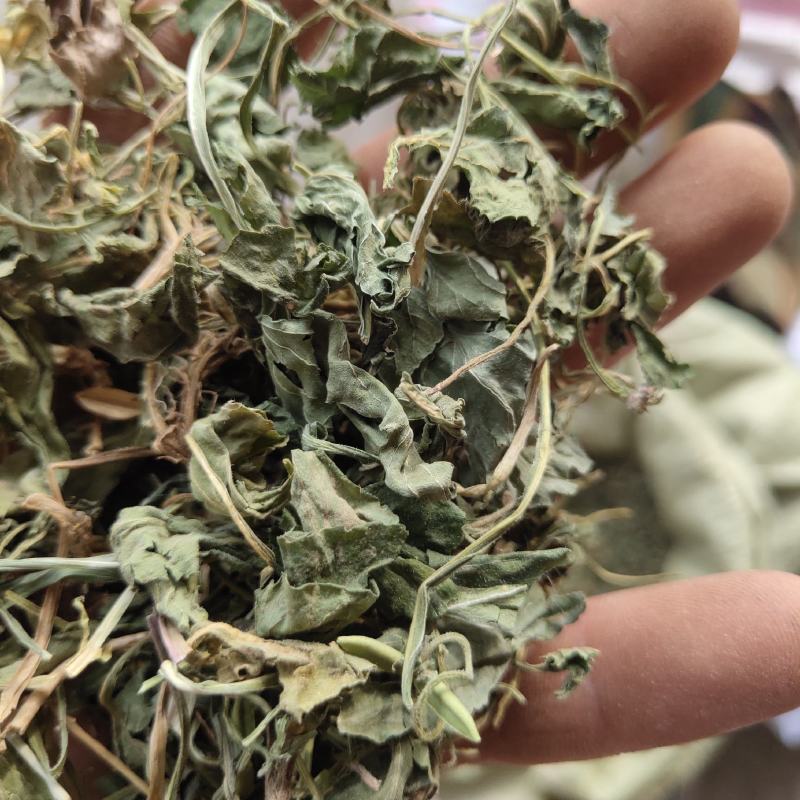 紫花地丁，新货，关书药业批发中药材………