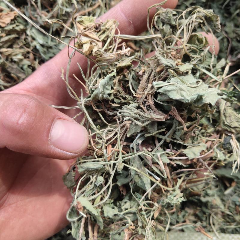紫花地丁，新货，关书药业批发中药材………