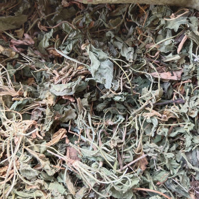紫花地丁，新货，关书药业批发中药材………