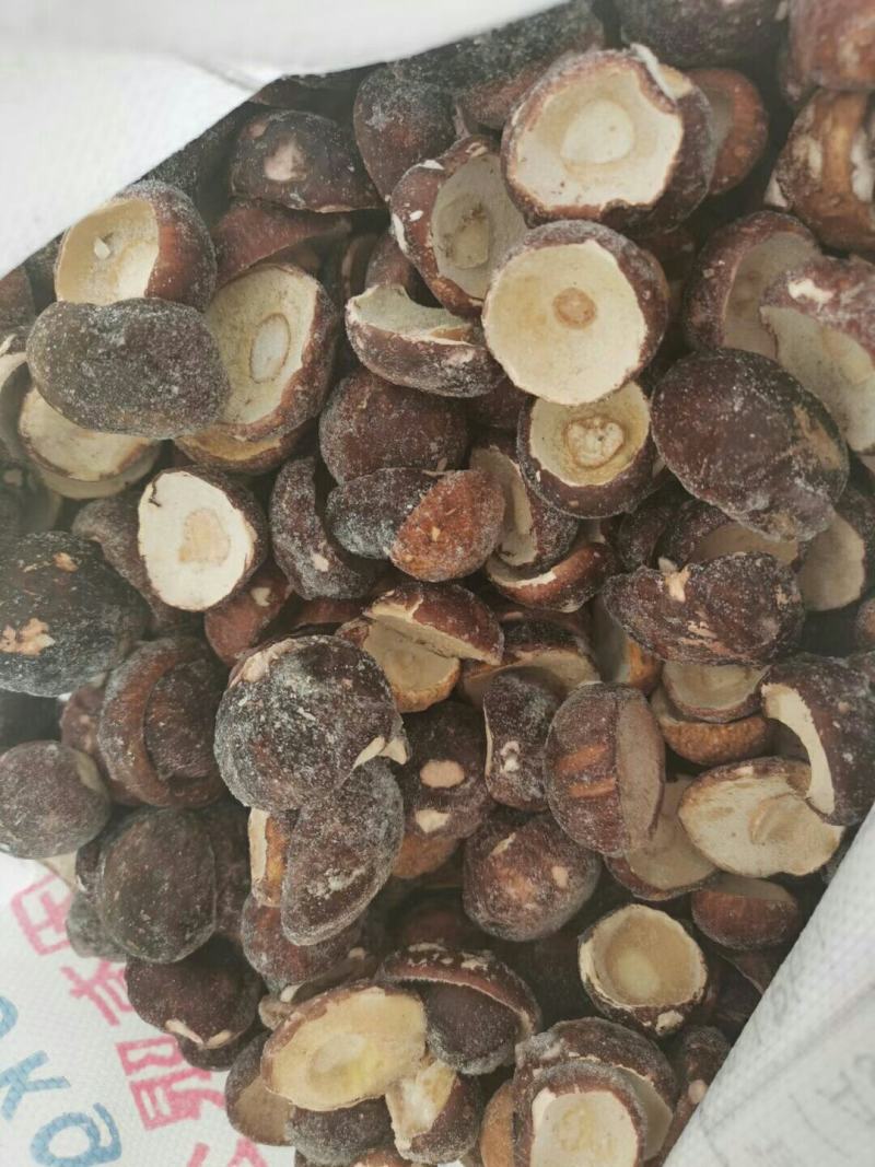 牛肝菌美味牛肝菌（冰冻）
