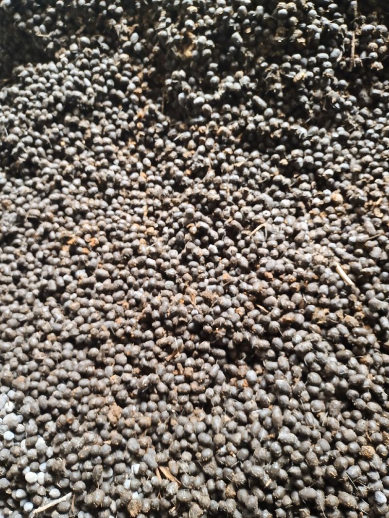 纯羊粪有机肥，水果蔬菜专用肥长期供货