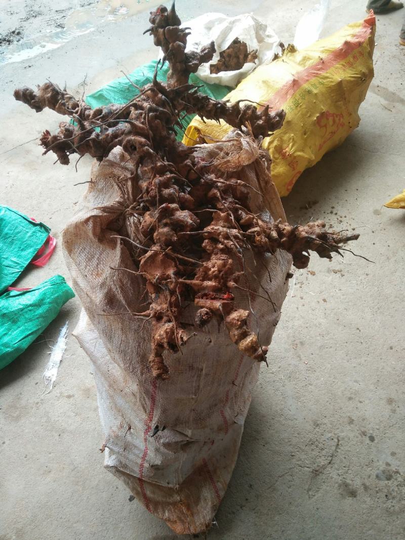湖南大量中药材出售，量大从优，一手货源，可视频看货