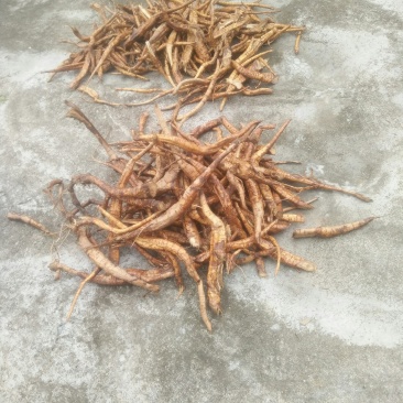 湖南大量中药材出售，量大从优，一手货源，可视频看货