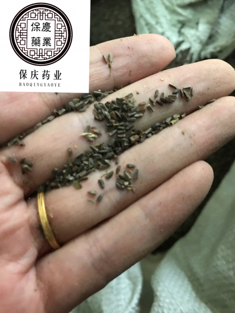 茺蔚子茺蔚籽保庆药业批发盗图必究实物拍摄！