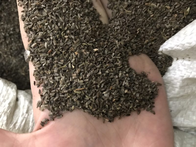茺蔚子茺蔚籽保庆药业批发盗图必究实物拍摄！