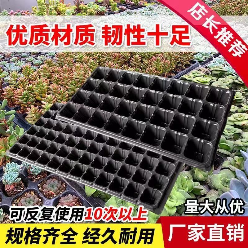 穴盘育苗盘