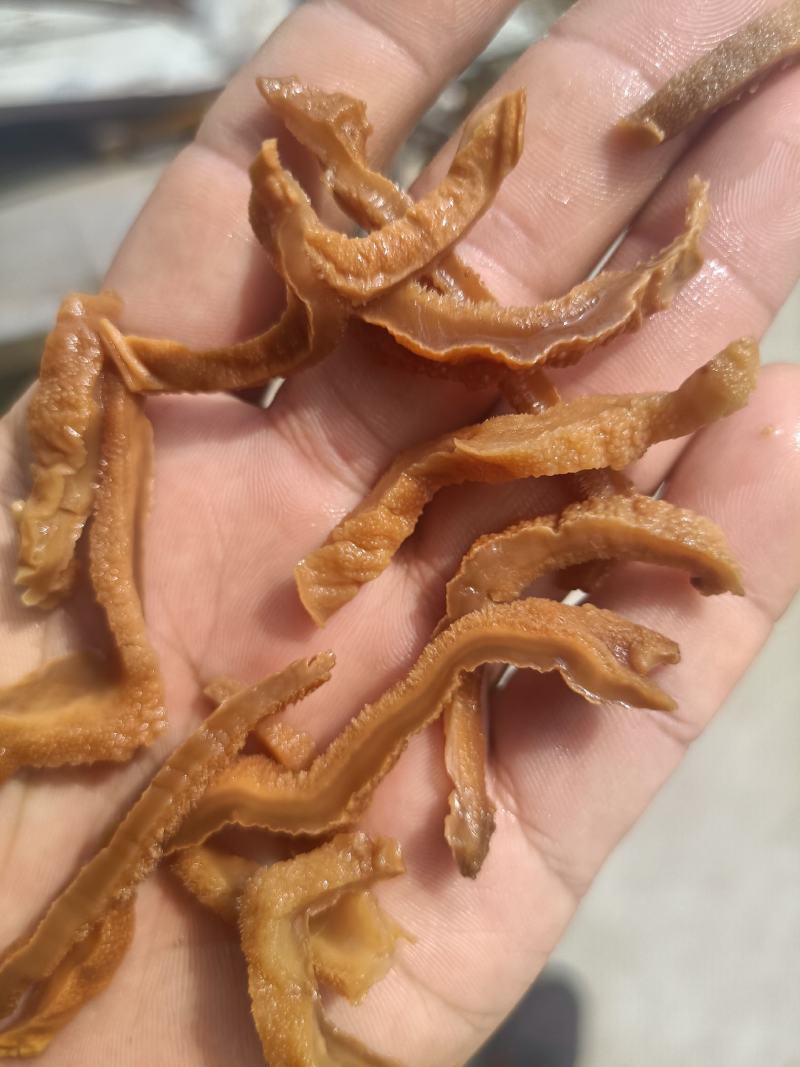 榆耳丝榆耳免切丝榆耳干货榆耳条榆耳块榆耳切丝
