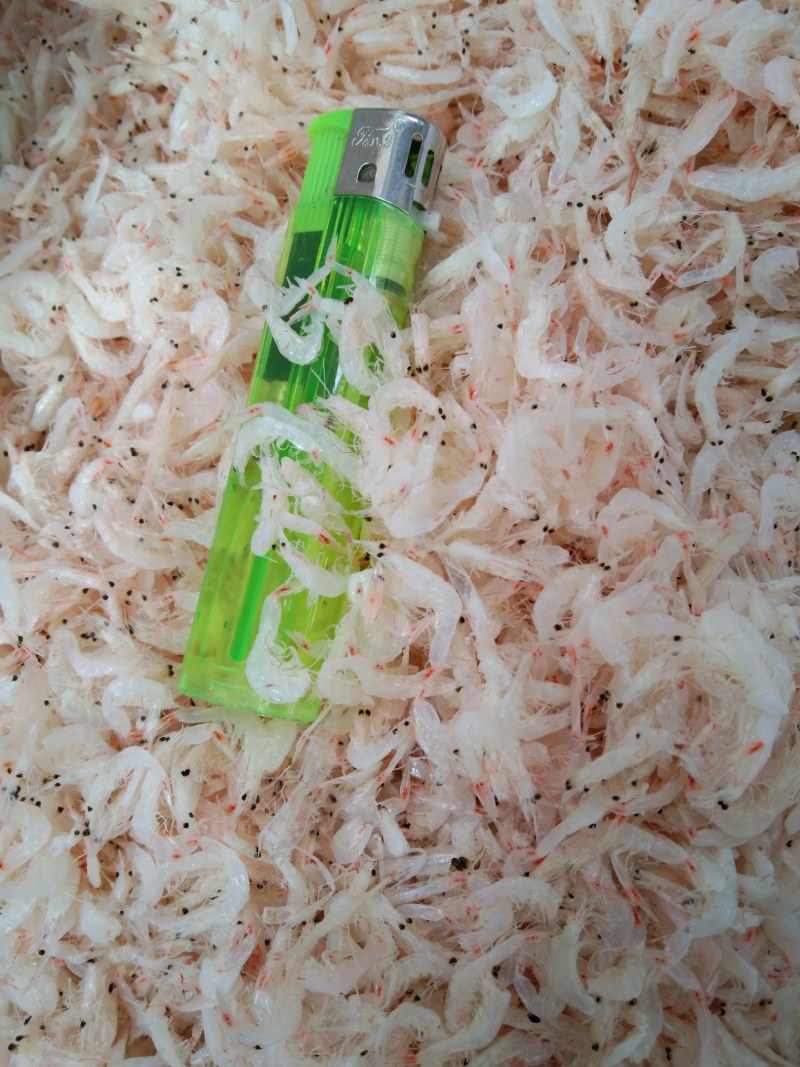 淡干虾皮！微咸流水线价格便宜！