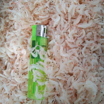 淡干虾皮！微咸流水线价格便宜！