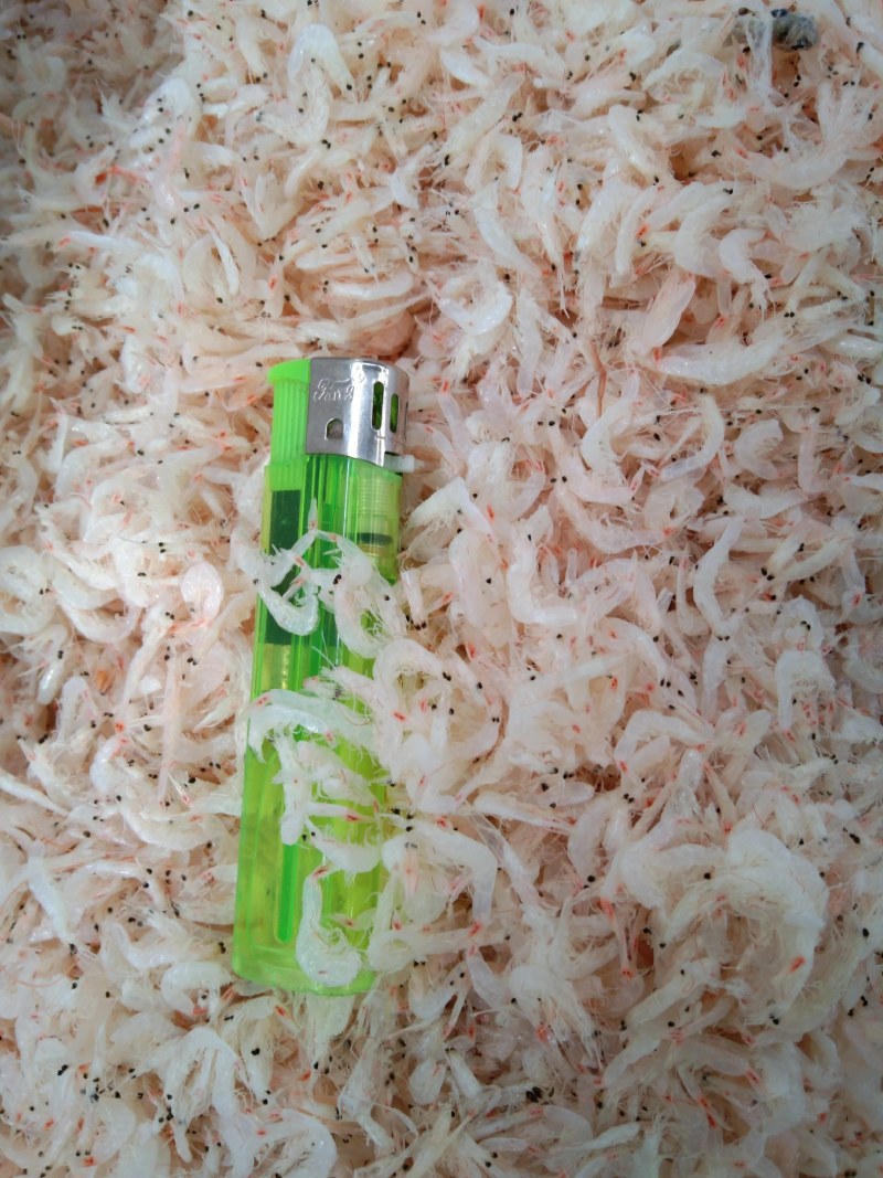 淡干虾皮！微咸流水线价格便宜！