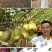 塑钢线葡萄、百香果、猕猴桃、火龙果专用拉线，养殖床拉线
