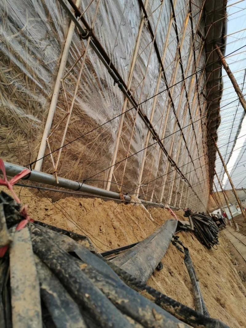 塑钢线葡萄、百香果、猕猴桃、火龙果专用拉线，养殖床拉线