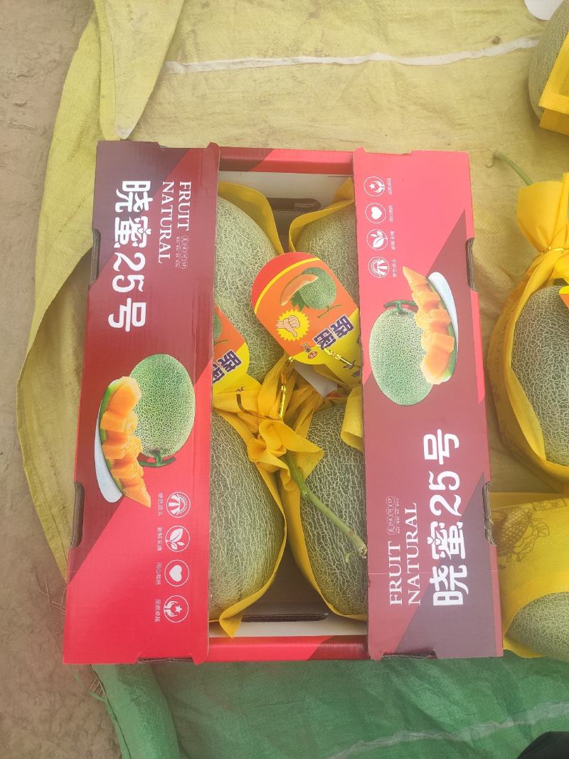 小蜜25号哈密瓜，福建产地代办代发，保证质量