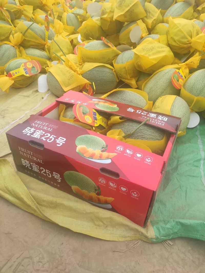 小蜜25号哈密瓜，福建产地代办代发，保证质量