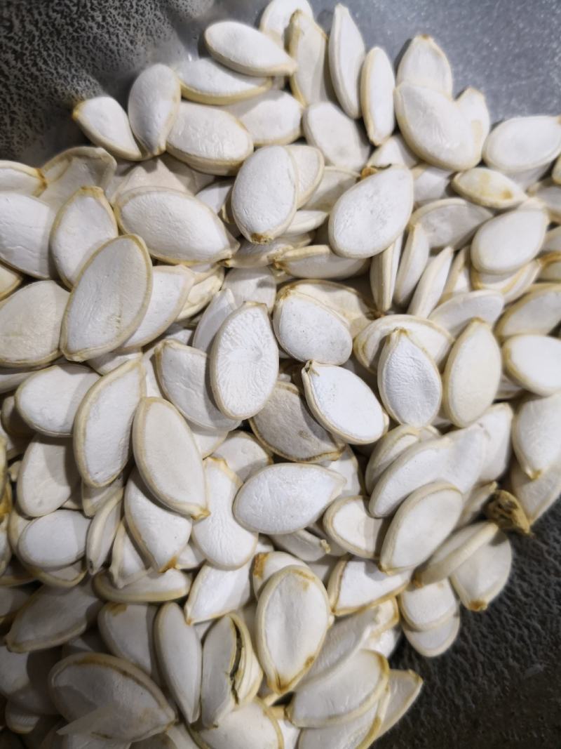 南瓜子中药材用河北干货量大从优