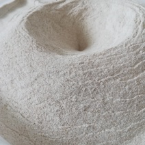 【精品】毛曲霉毛豆腐菌种菌种豆腐乳菌种量大从优欢迎采购