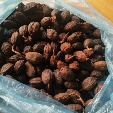 需要干草果的老板可以在一亩田上联系我