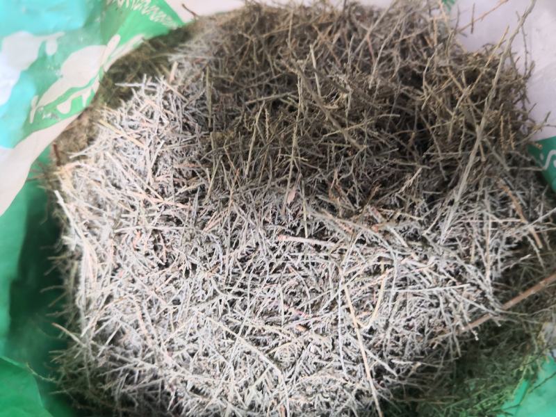 西河柳河北干货散装量大从优