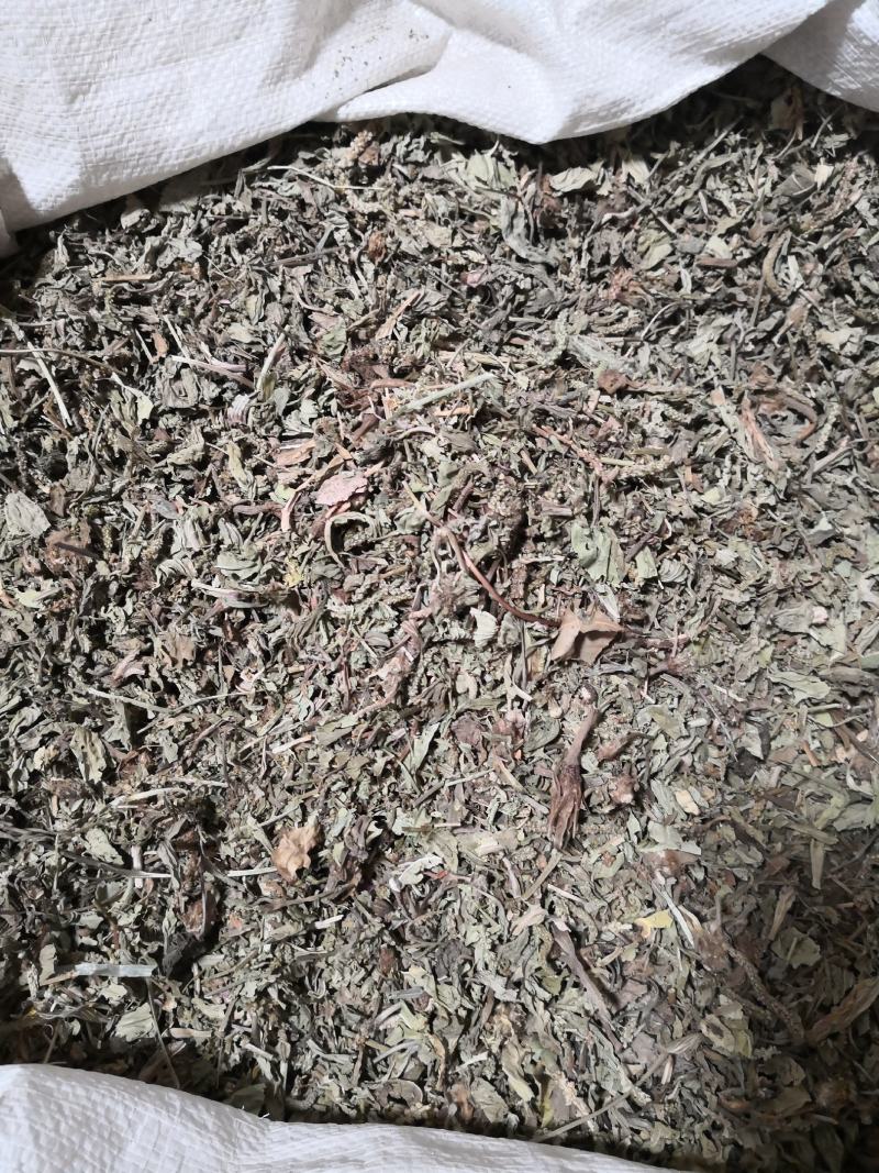 车前草量大从优常年经营各种中药材
