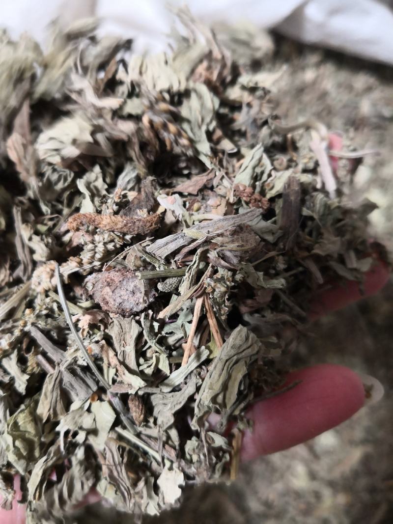 车前草量大从优常年经营各种中药材