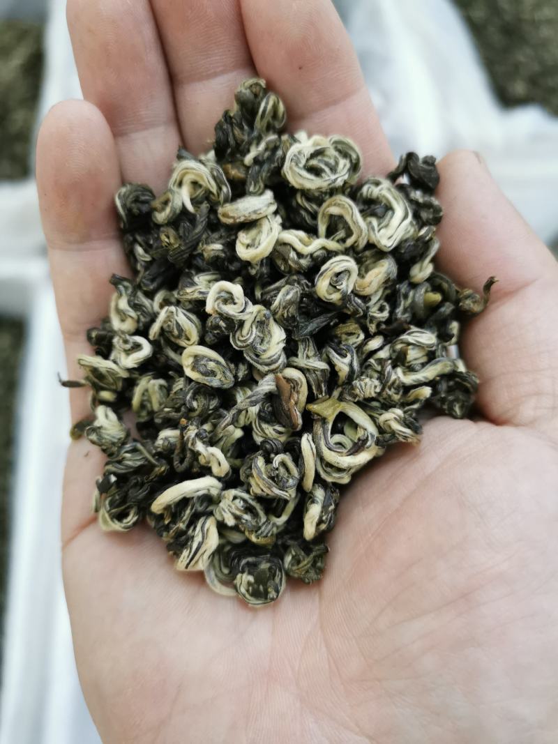 云南碧螺春绿茶2022年新茶特级浓香型云南绿茶碧螺春茶叶